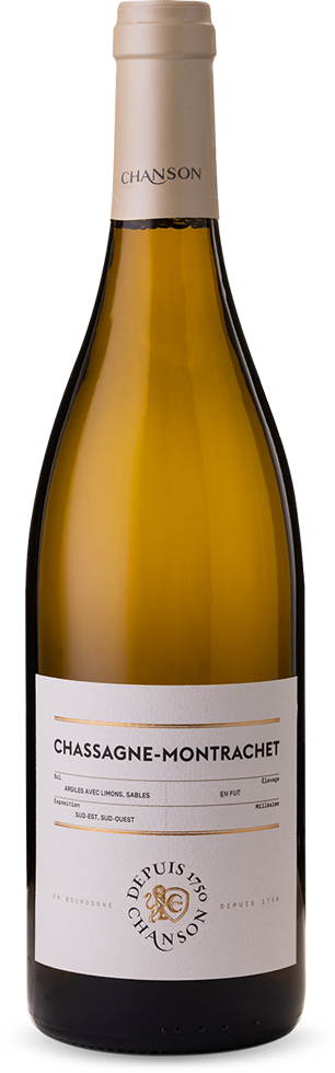 Domaine Chanson Chanson Chassagne-Montrachet