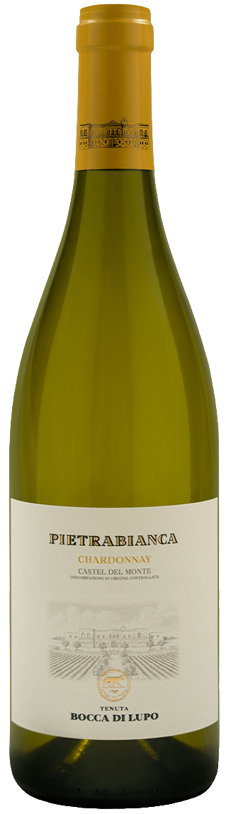 Colaris Tenuta Bocca di Lupo Pietrabianca Chardonnay 2023 (Organic)