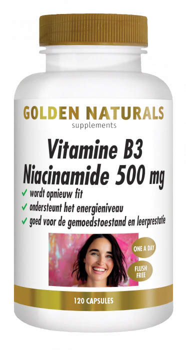 Golden Naturals Vitamine B3 Niacinamide 500 mg Capsules