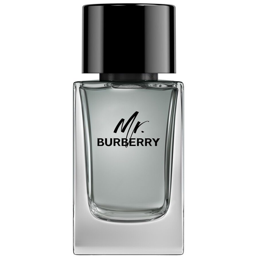 Burberry Mr. 