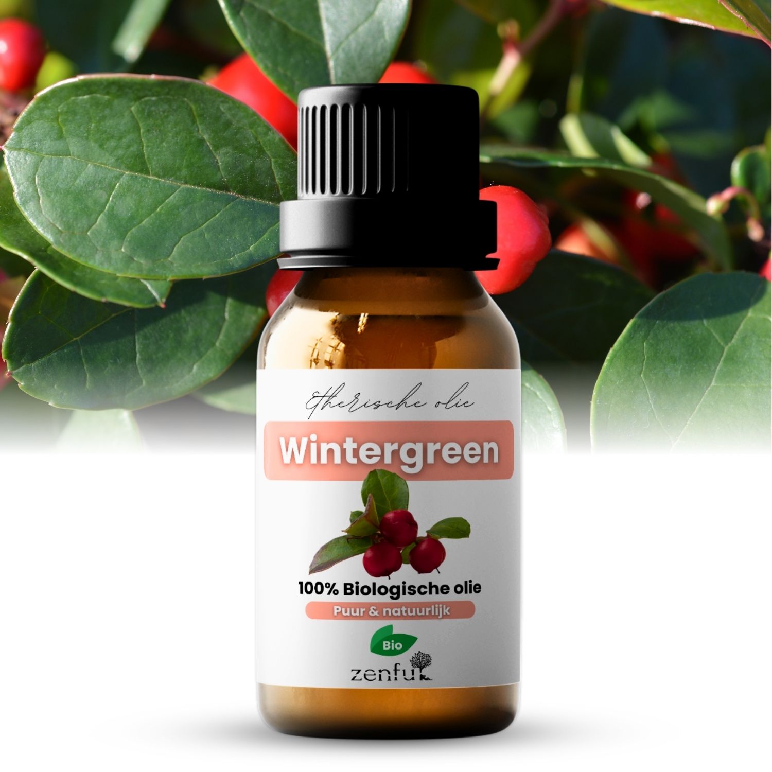 Zenful Wintergreen olie biologisch 10 ml