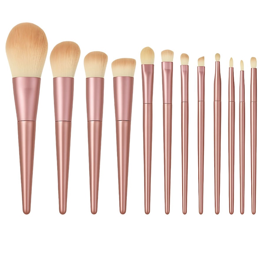 Technique Pro Radiance Makeup Brush Set