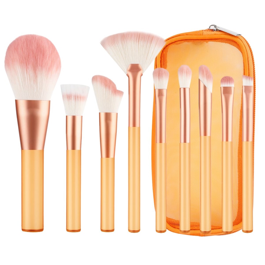 Technique Pro Translucent Perfection Makeup Brush Set