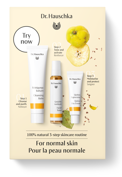 Dr. Hauschka Musthave Set Quince