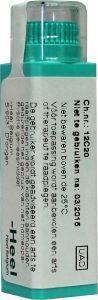 Homeoden Heel Argentum nitricum d8 4g