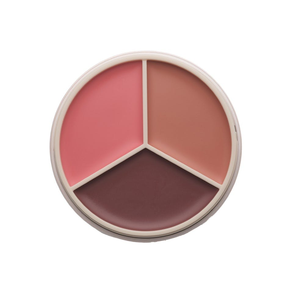 Anastasia Beverly Hills Zijdezachte Gepigmenteerde Blush Met Matte Finish  - Magic Touch Blush Trio Zijdezachte, Gepigmenteerde Blush Met Matte Finish. Peach Trio