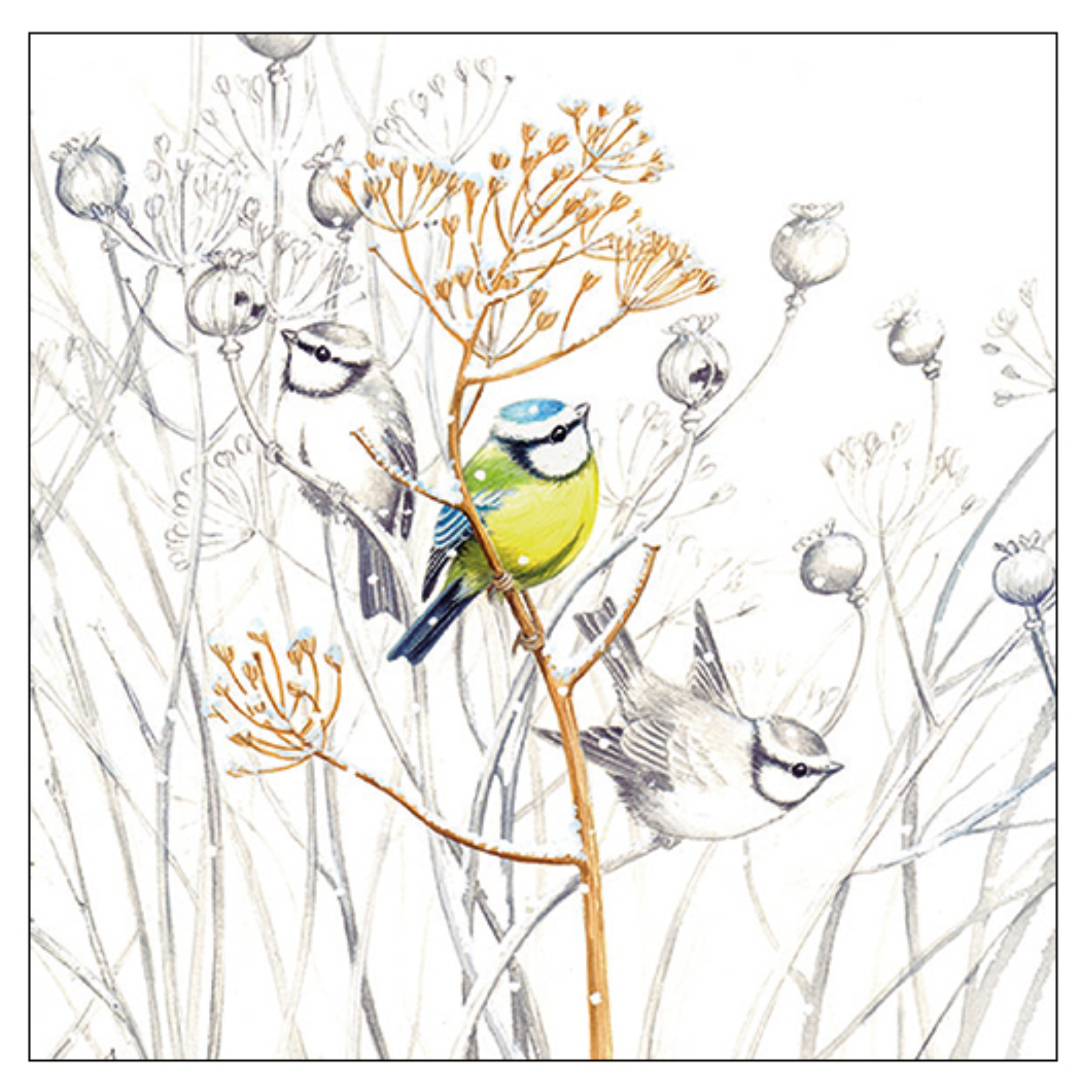 Ambiente Servetten Vogels - 20x stuks - 3 laags - 33 x 33 cm - winter thema -