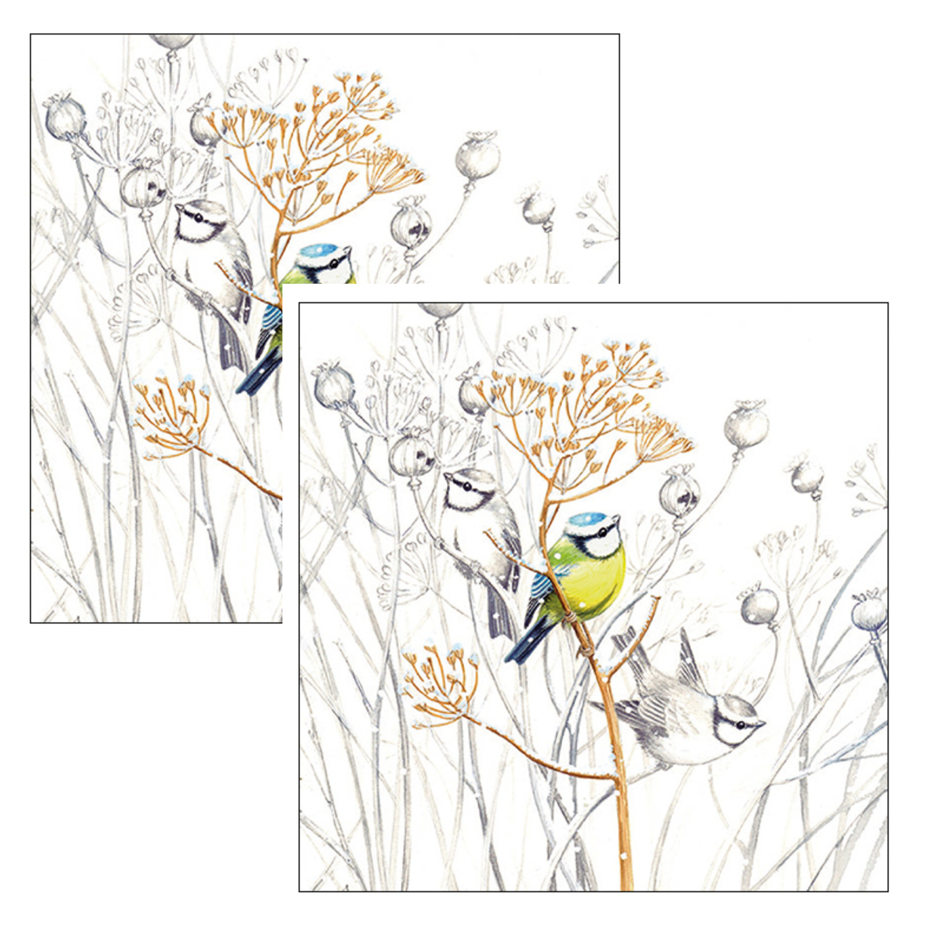 Ambiente Servetten Vogels - 40x stuks - 3 laags - 33 x 33 cm - winter thema -