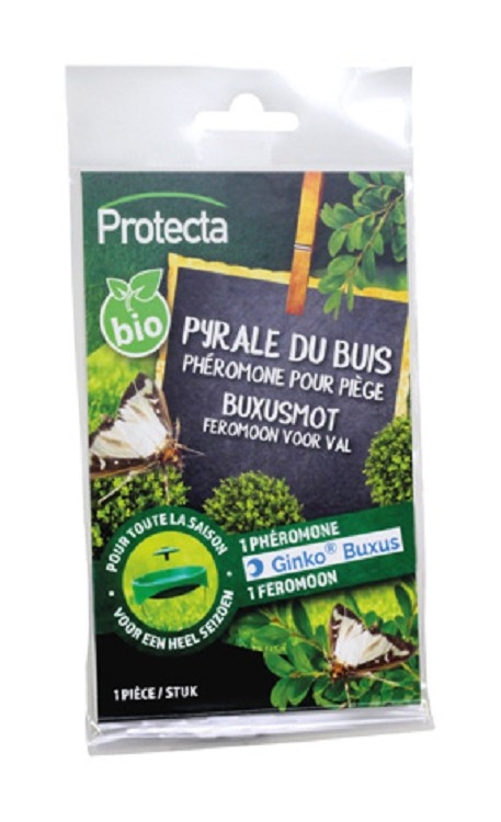 Protecta Feromoon  voor Val Buxusmot