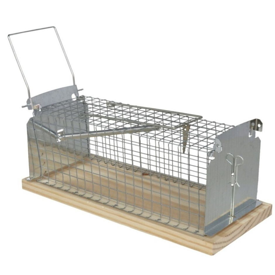 Alma garden Diervriendelijke muizenval/rattenval - 1x stuks - zilver - metaal - 29 x 12 cm -