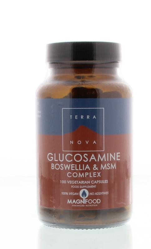 Terranova Glucosamine boswellia & msm complex 100 capsules