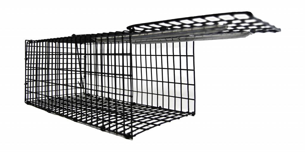 AllesTegenOngedierte.nl Vangkooi voor ratten groot