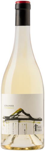 Piccini Torre Mora Scalunera Etna Bianco 75CL