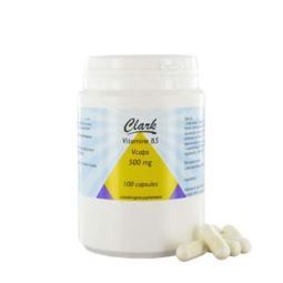 Holisan Vitamine b5 pantotheenzuur 500 mg 100vc