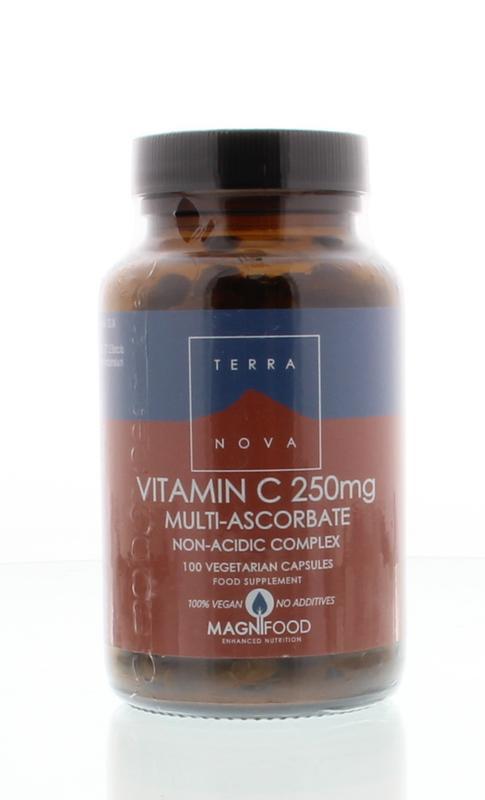 Terranova Vitamine c 250 mg complex 100 Vegan Capsules