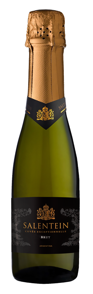 Bodegas Salentein Salentein Sparkling Brut Cuvée Exceptionnelle (37,5 cl.)