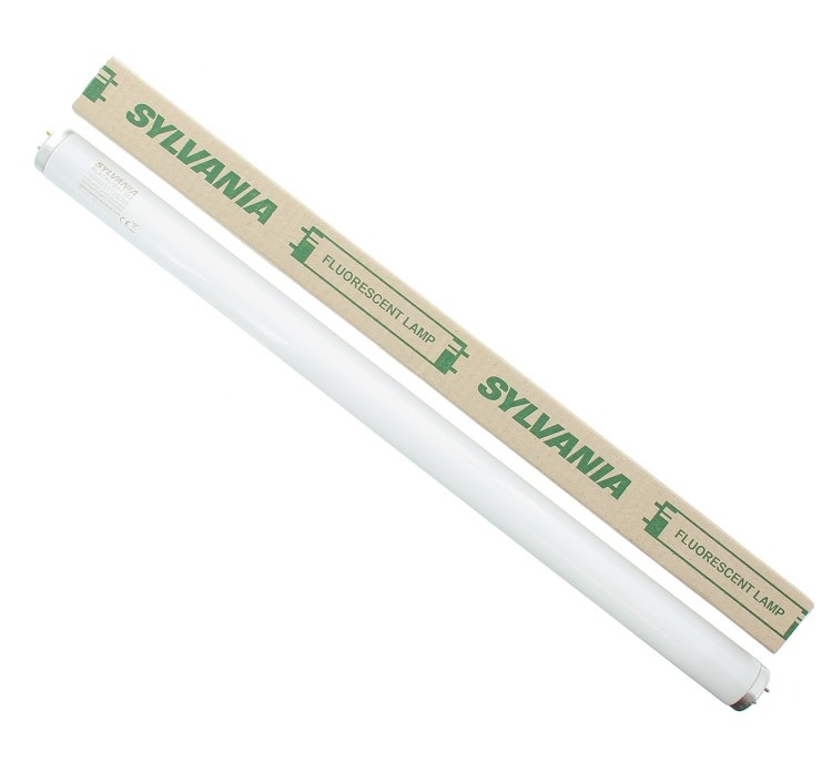Sylvania Lamp voor vliegenkast 36W 36 Watt - F40W/2FT/T12/BL368