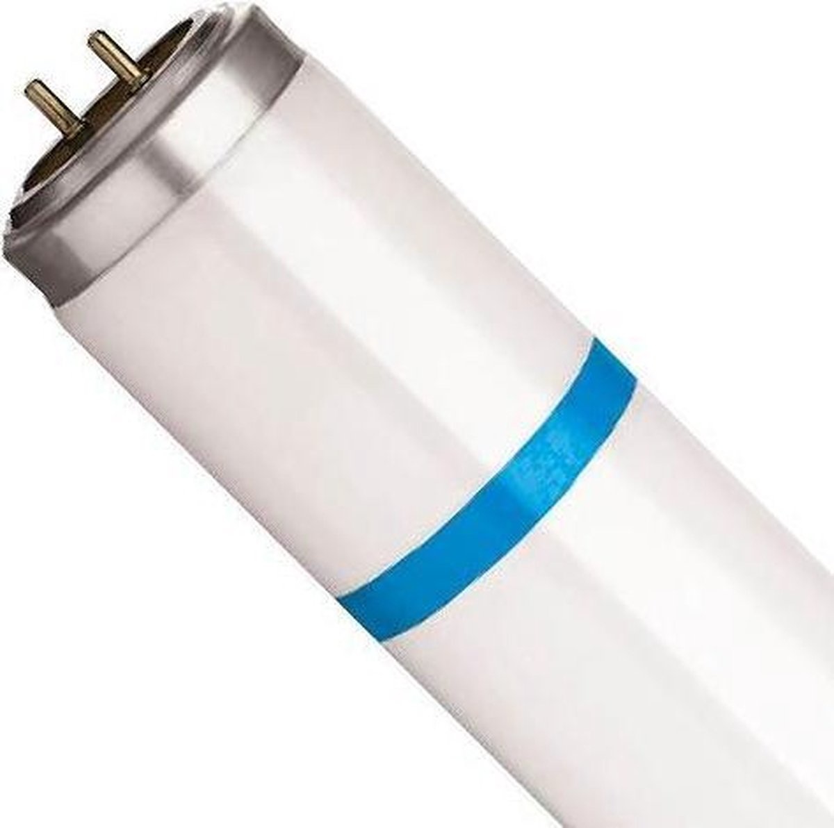 Knock Pest Reservelamp shatterproof 40 W