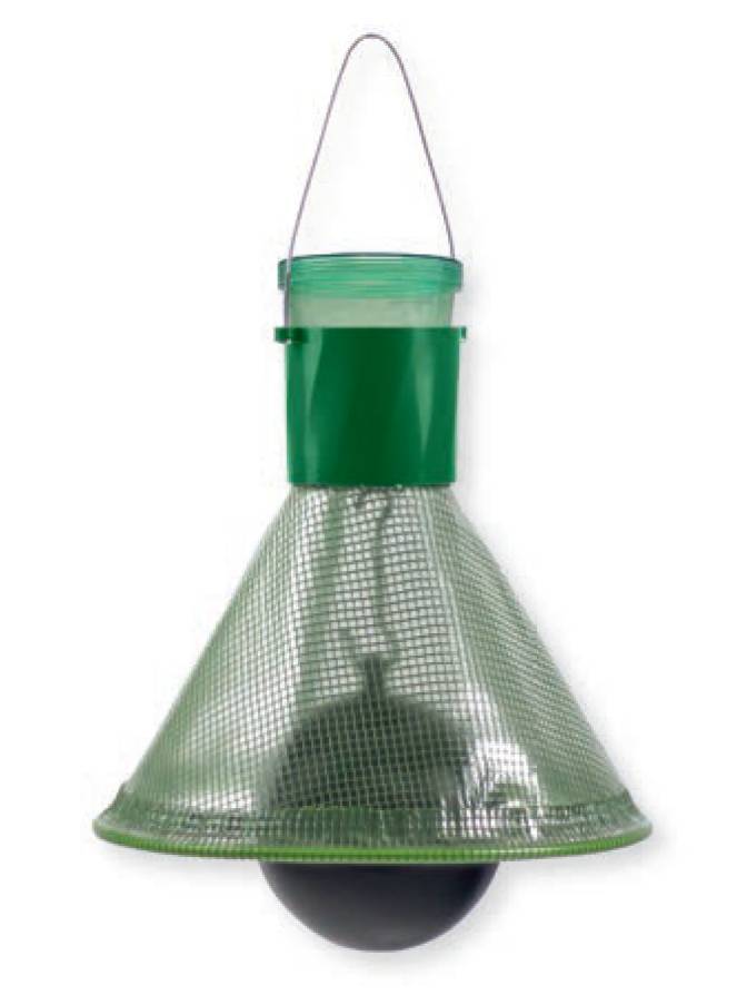 Insective MT-Trap dazenval