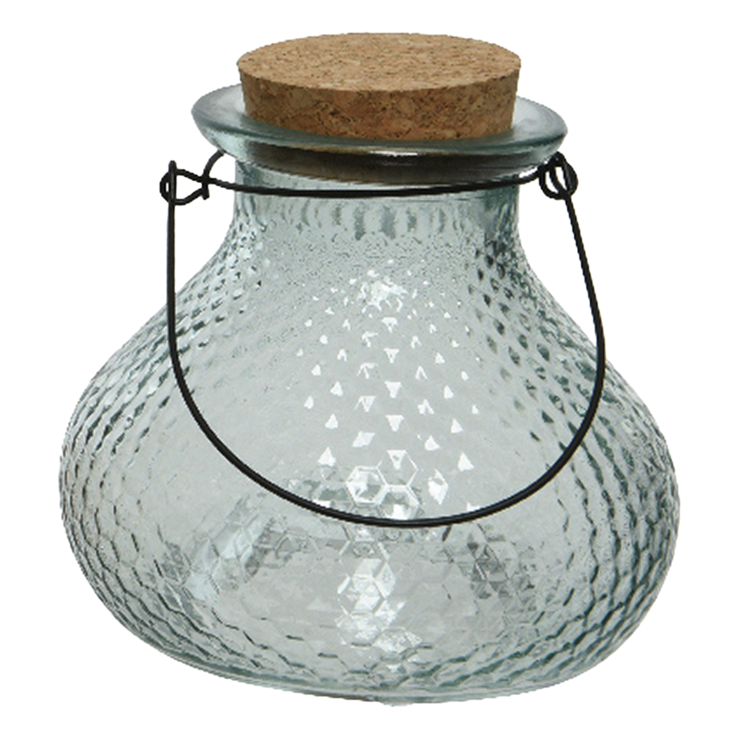 Decoris Wespenvanger/wespenval met hengsel - glas - ijsblauw - D14 x H13 cm -