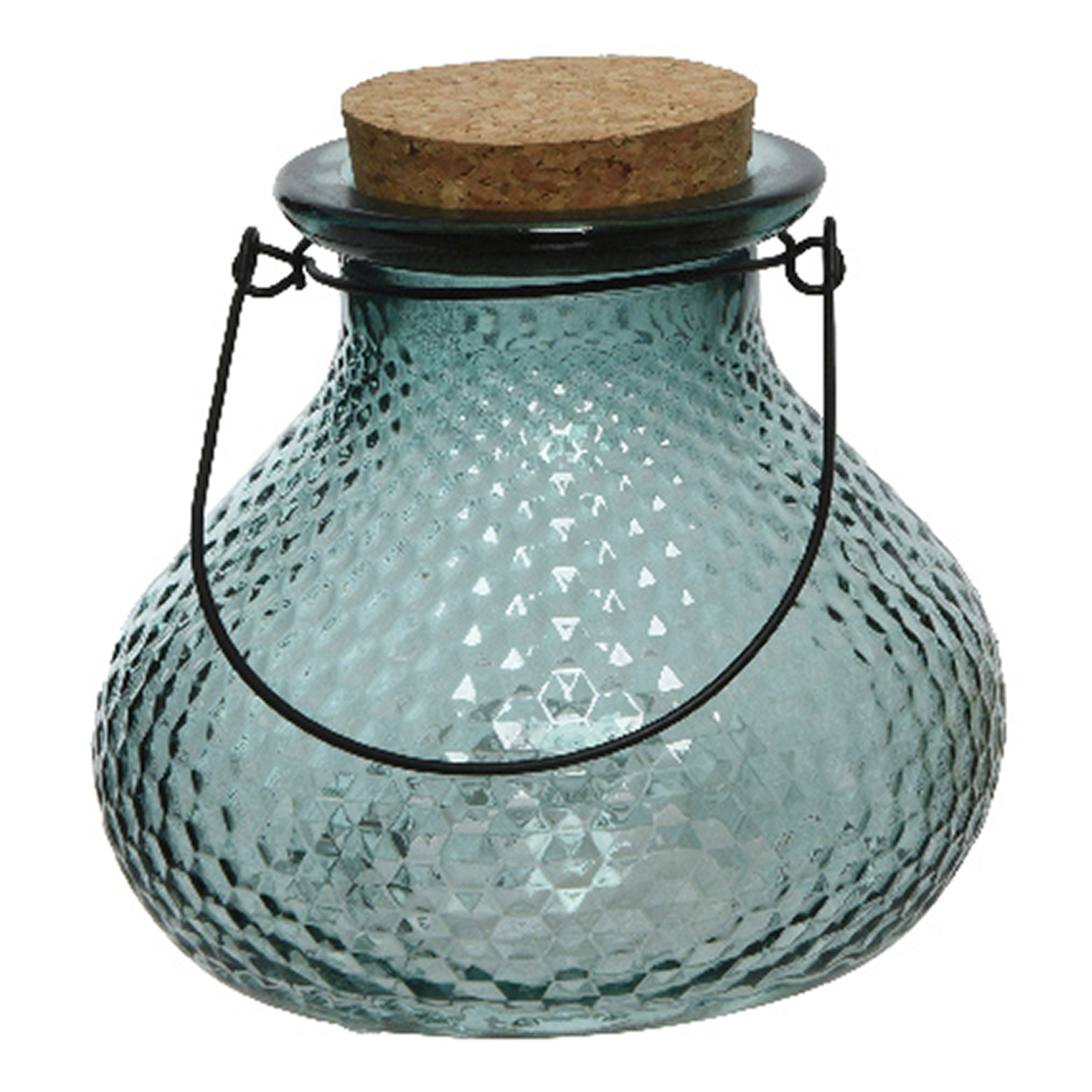 Decoris Wespenvanger/wespenval met hengsel - glas - lichtblauw - D14 x H13 cm -