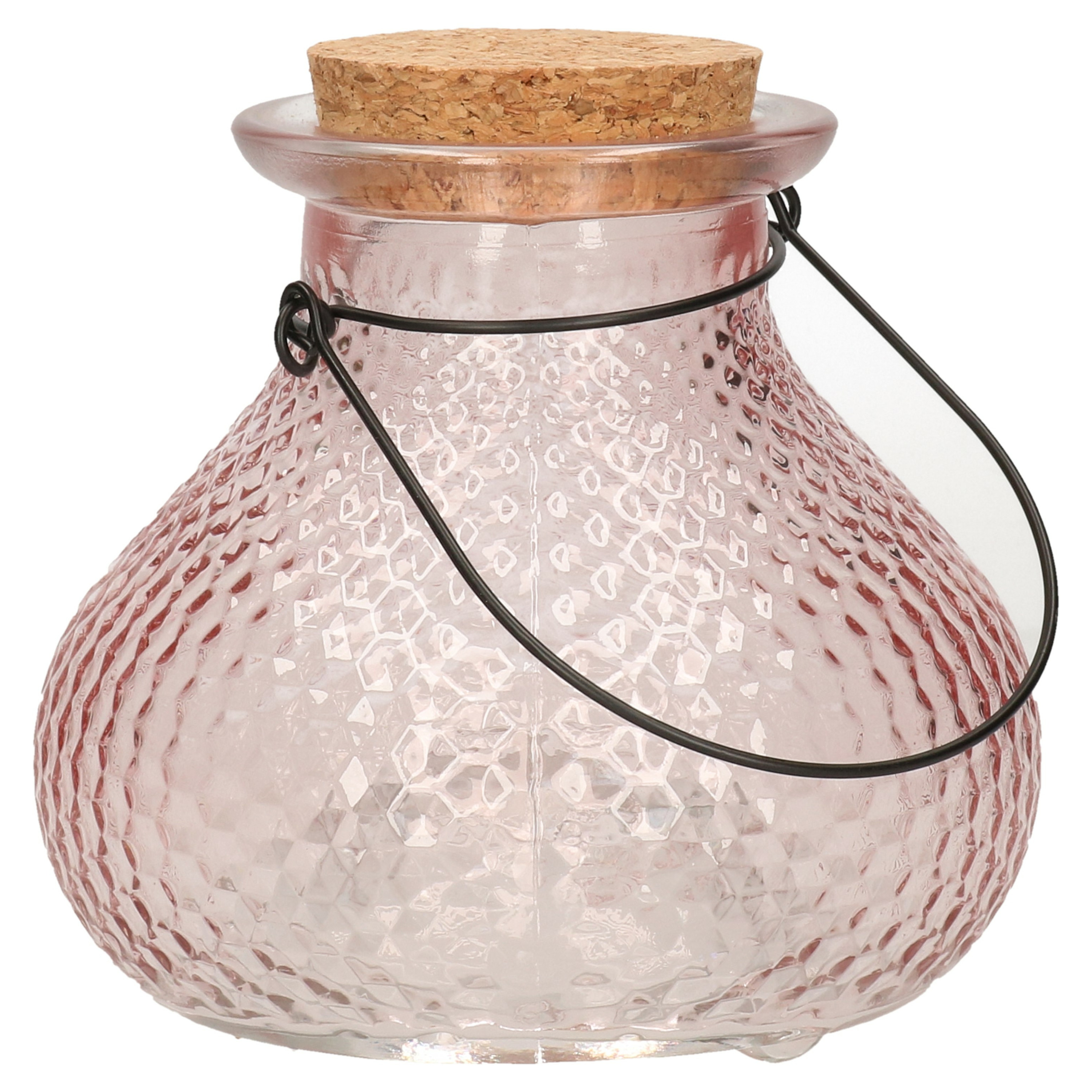 Decoris Wespenvanger/wespenval met hengsel - glas - lichtroze - D14 x H13 cm -