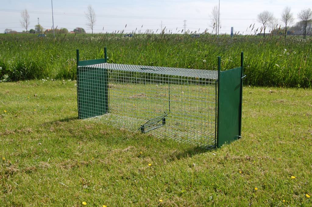 AllesTegenOngedierte.nl Wild Vangkooi