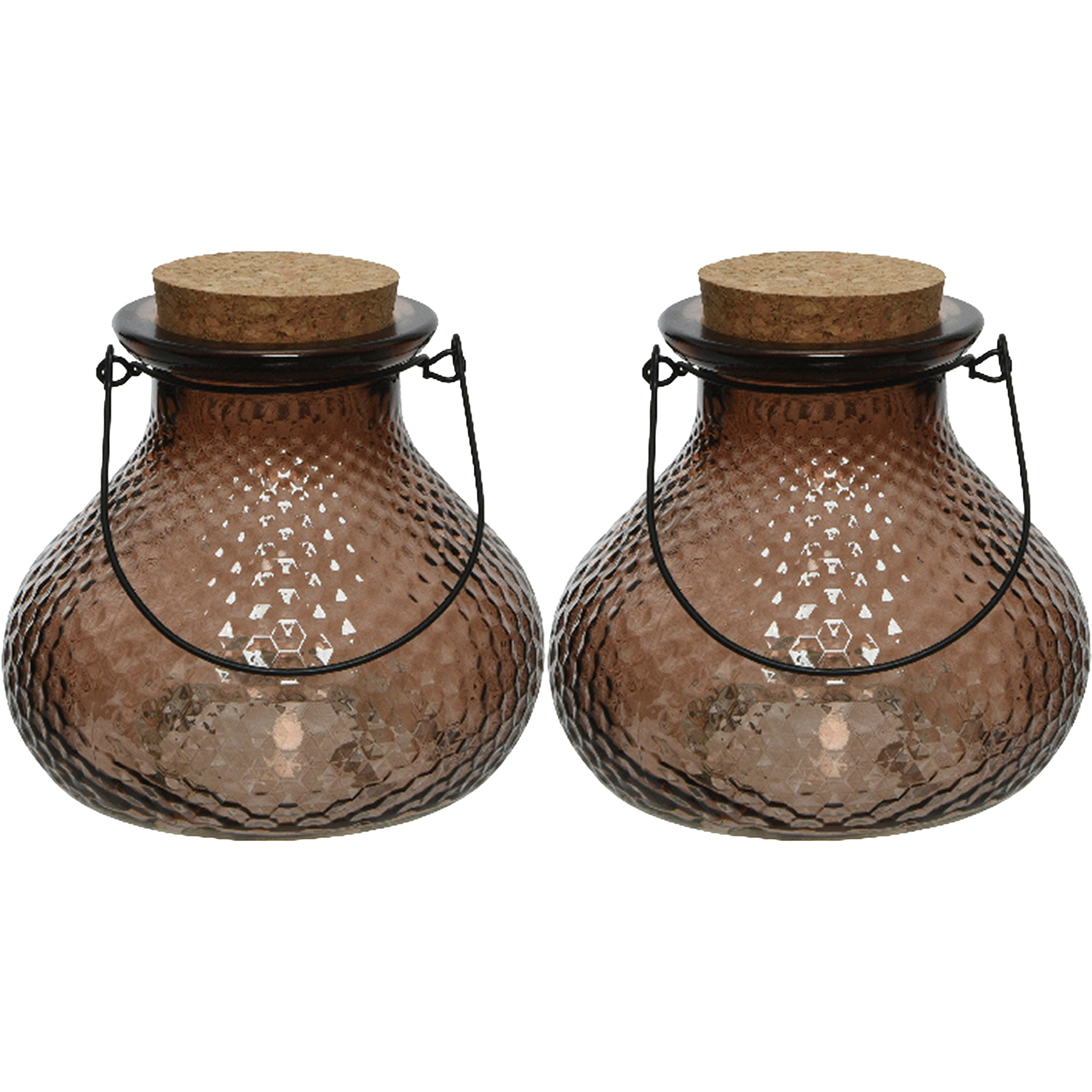 Decoris 2x wespenvanger/wespenval met hengsel - glas - donkerbruin - D14 x H13 cm -