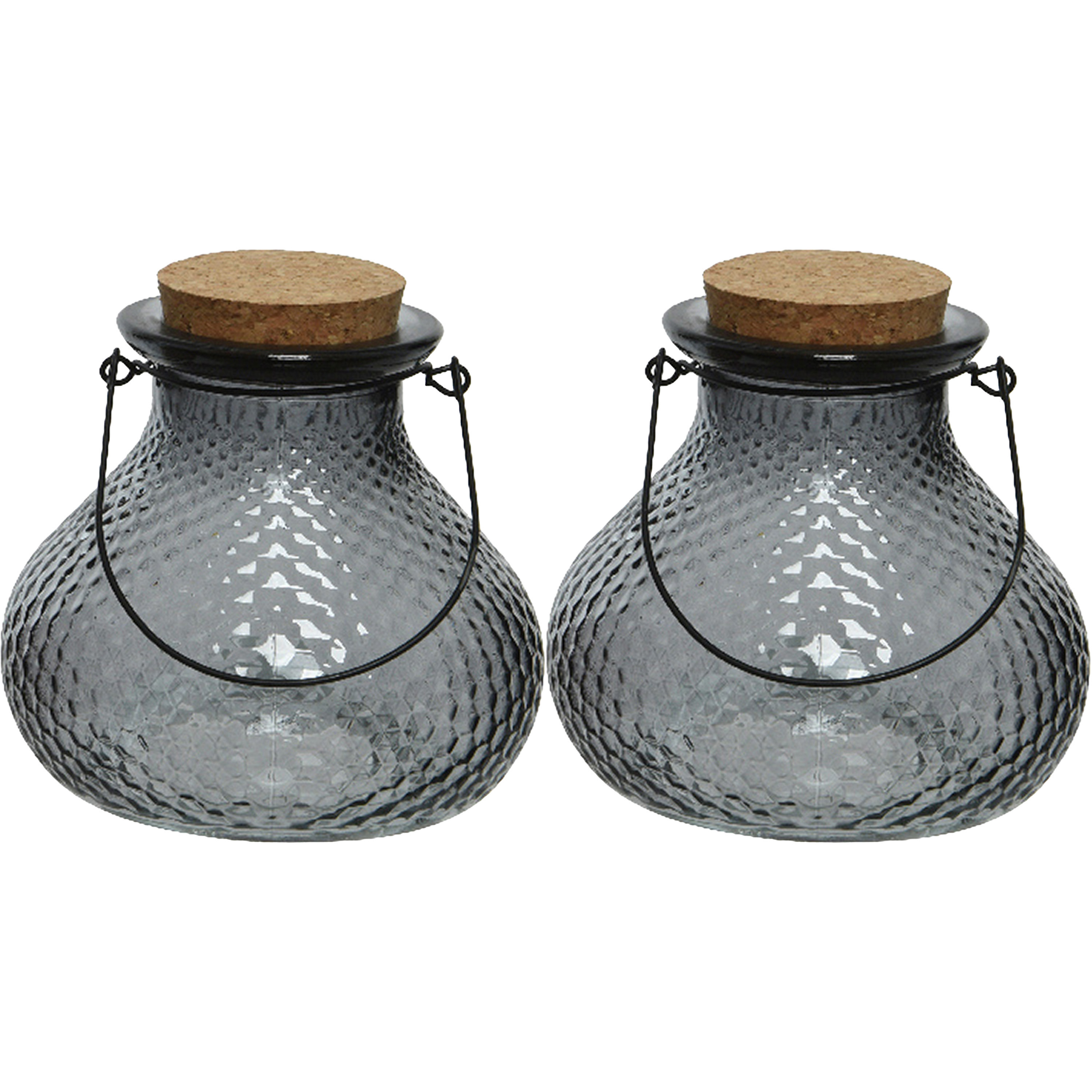 Decoris 2x wespenvanger/wespenval met hengsel - glas - grijs - D14 x H13 cm -