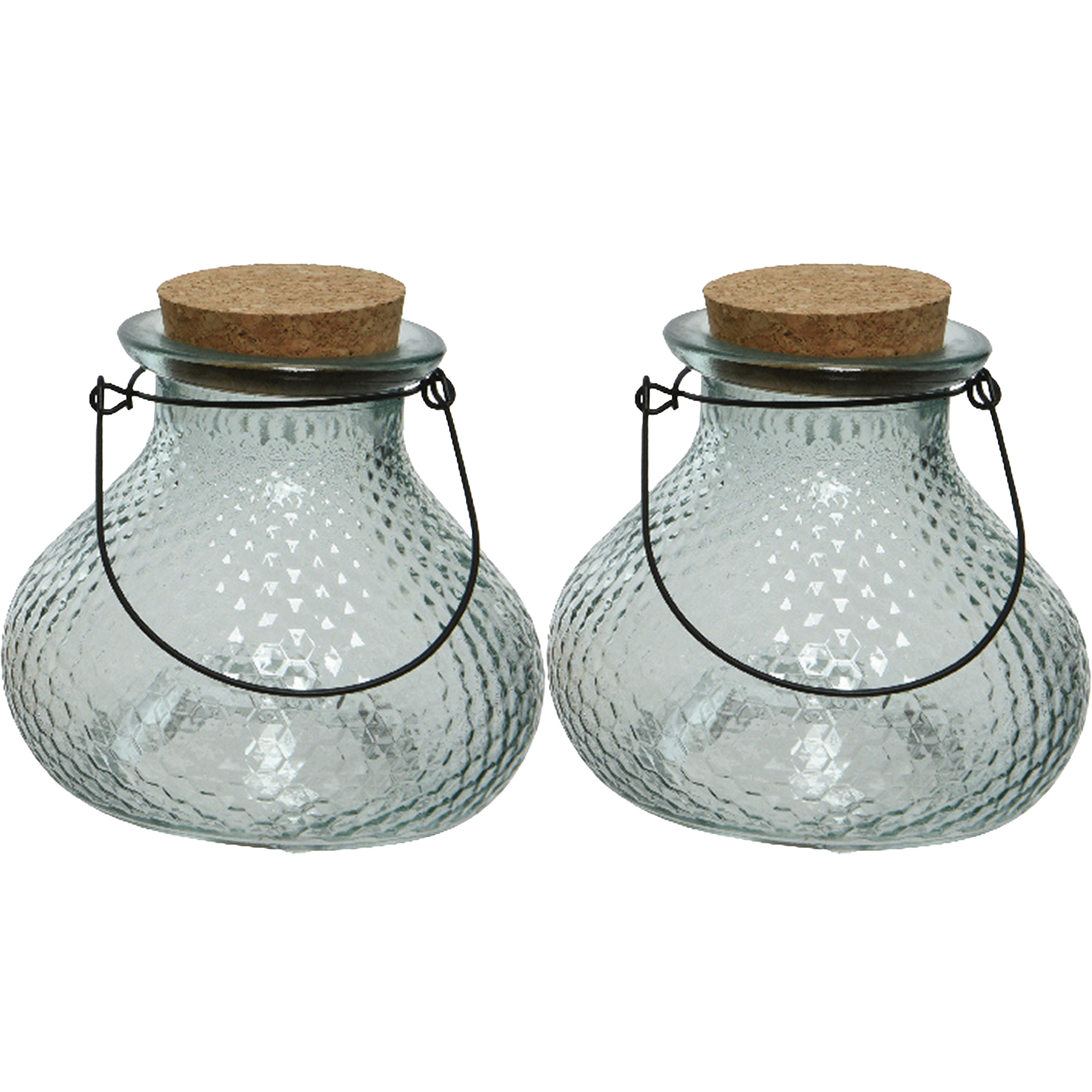 Decoris 2x wespenvanger/wespenval met hengsel - glas - ijsblauw - D14 x H13 cm -