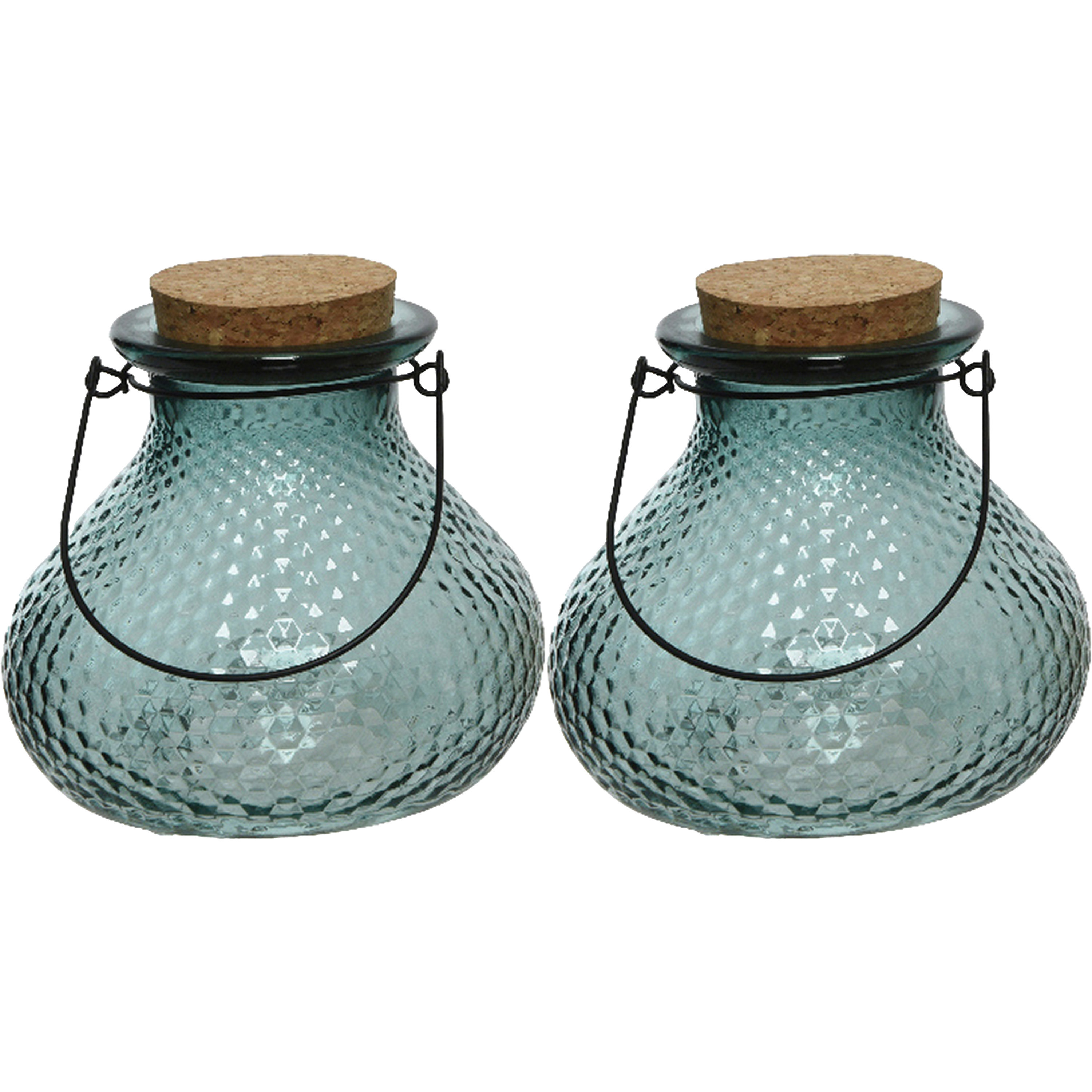 Decoris 2x wespenvanger/wespenval met hengsel - glas - lichtblauw - D14 x H13 cm -