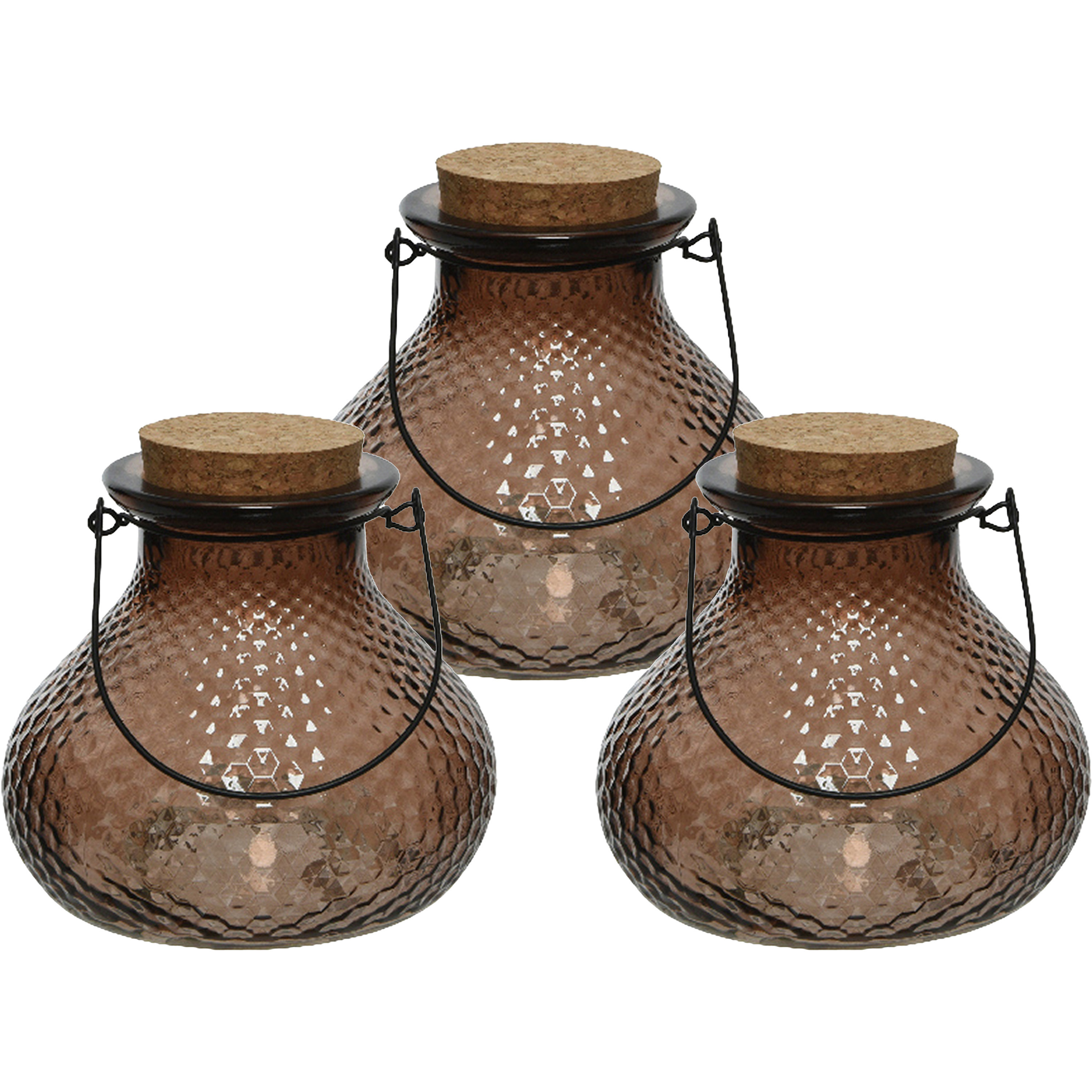 Decoris 3x wespenvanger/wespenval met hengsel - glas - donkerbruin - D14 x H13 cm -