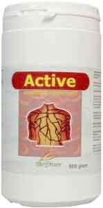 Biodream Active 800g