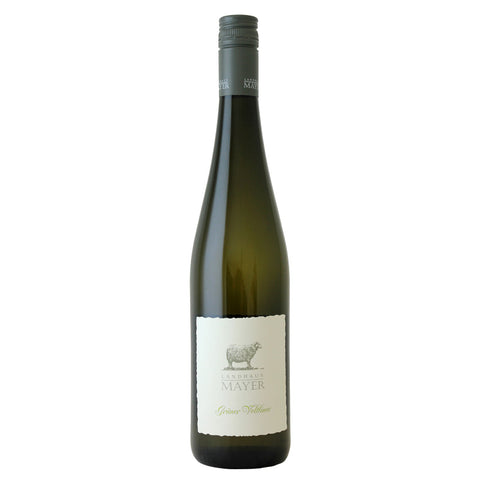 Weingut Mayer am Pfarrplatz Grüner Veltliner Niederösterreich 2022 - 75CL - 12,5% Vol.