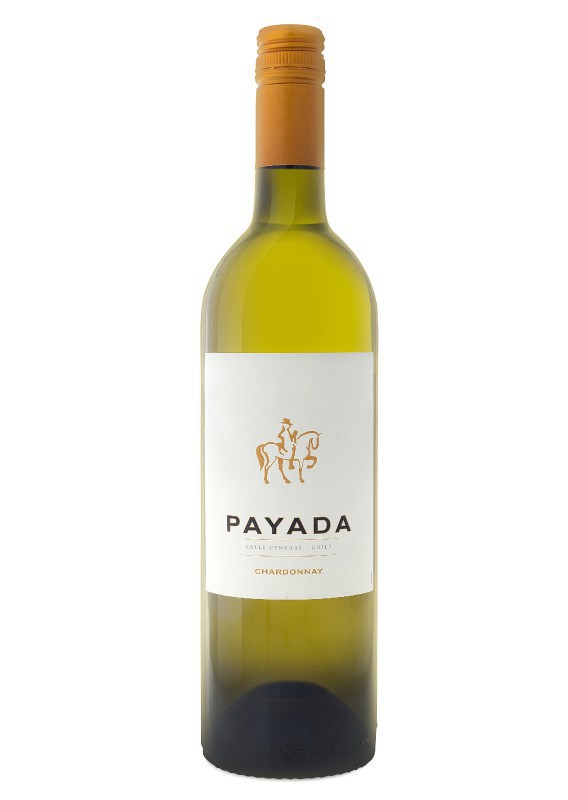 Cono Sur Payada Chilean Chardonnay