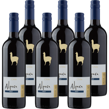 Alpaca umbo - Chardonnay 6 x 750 ml