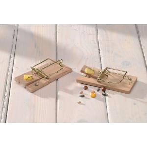 Nature Muizenval hout