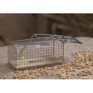 Nature Rattenkooi draadmodel