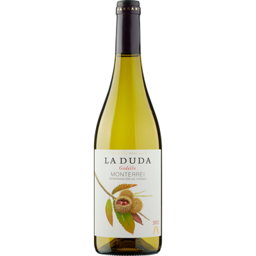 Vinos del Paseante inos del Paseante La Duda Godello 750 ML bij Jumbo
