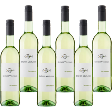 Gruner Veltliner runer Veltliner 6 x 750 ml bij Jumbo