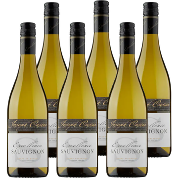 Excellence xcellence Sauvignon Blanc 6 x 750 ml bij Jumbo
