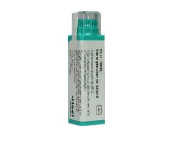 Homeoden Heel Dulcamara d6 4g Globuli