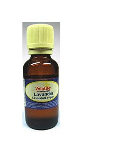 Volatile Lavandin 5ml