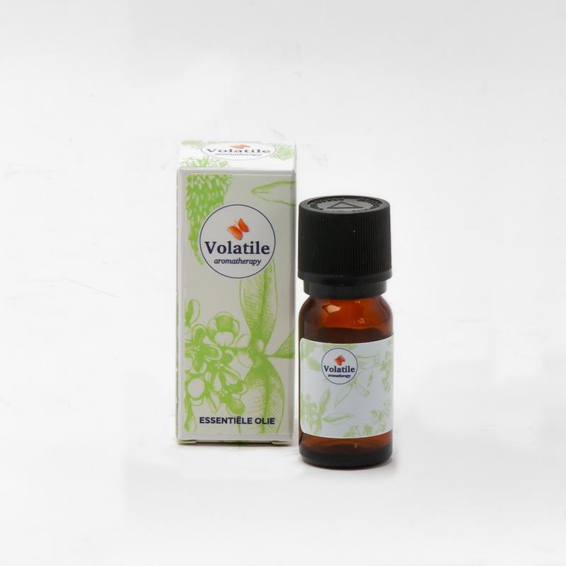 Volatile Pepermunt 5 ML