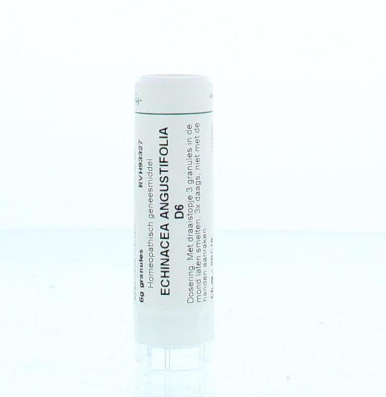 Homeoden Heel Echinacea angustifolia d6 6 G