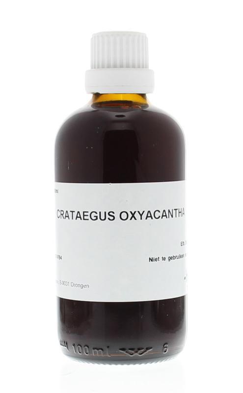 Homeoden Heel Crataegus oxyacantha phyto 100ml