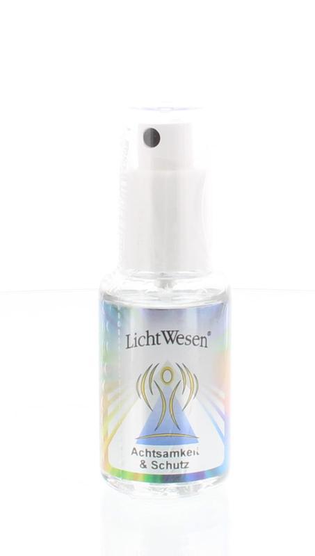 Lichtwesen Goudwater tinctuur zorgvuldigheid en bescherming 30ml