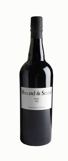 Casacondado.nl Moscatel de Setúbal 1981
