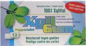 Xyligum Peppermint 24 x 15g