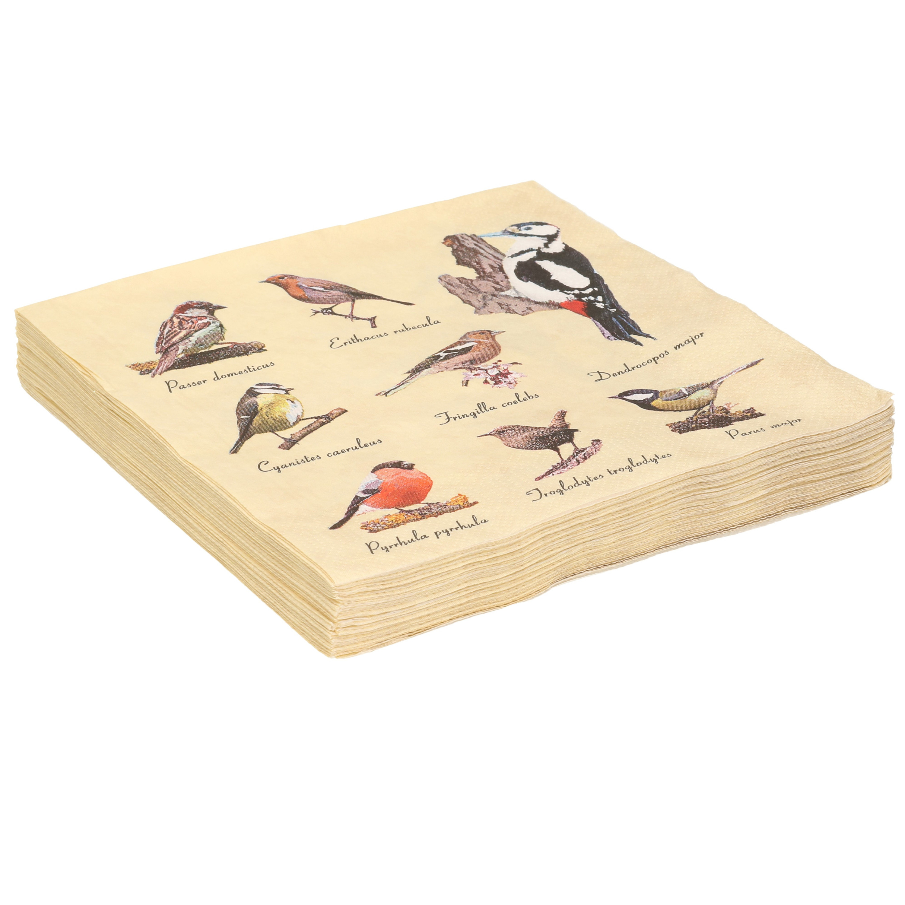 Esschert Design 20x Papieren servetten met vogels print - 33 x 33 cm - tuinvogels - 3 laags -